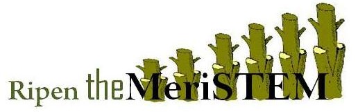 RipenTheMeriSTEM